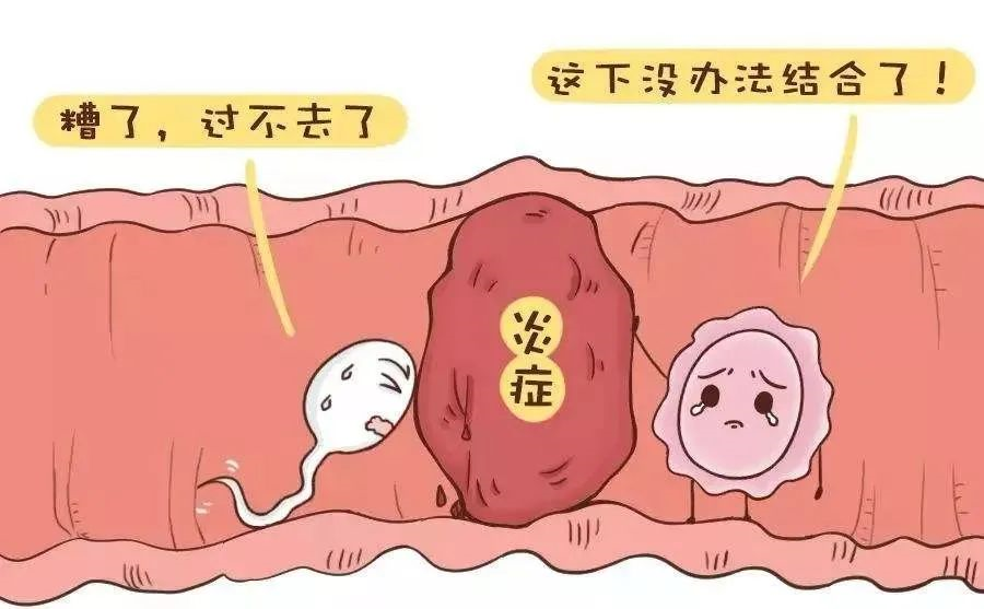 北京供精供卵试管多少钱,哪些因素会影响借精三代试管性别鉴定的准确性？