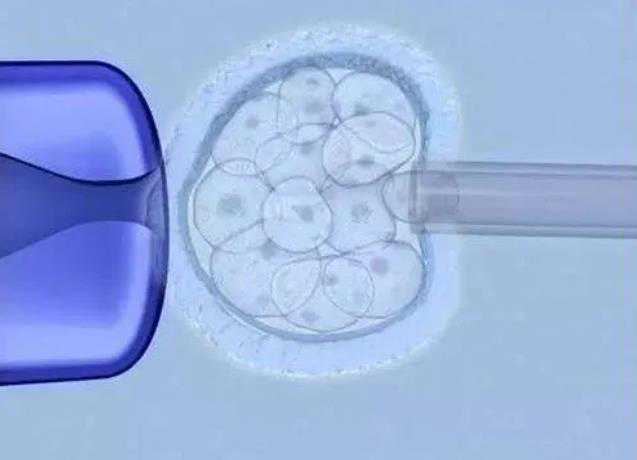 广州供精哪家医院可以做试管婴儿,2023南通哪家借卵做试管婴儿的医院最好呢？