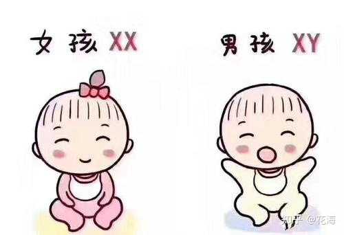 广州38岁供精供卵多少钱,网友分享在借精做四维彩超攻略,借精知名的代助孕公
