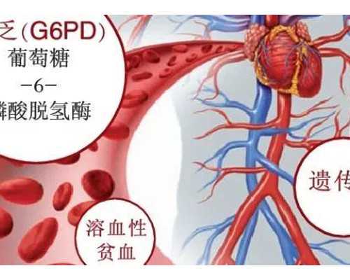 济南中心代怀过程,济南供卵总部租房,济南供卵试管