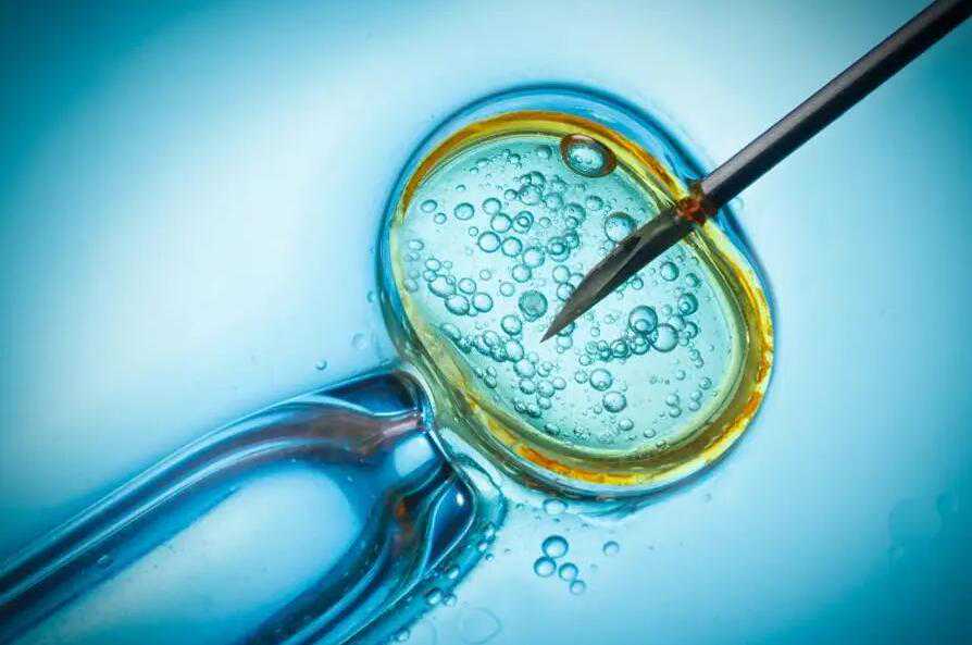 宁波助孕中介 2022年宁波试管婴儿医院哪家比较好 ‘孕囊数据看男女’